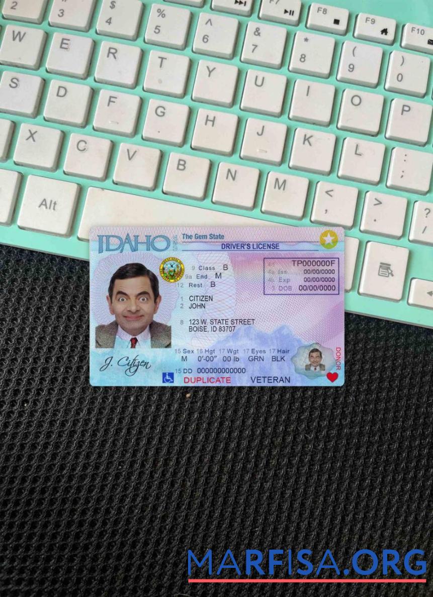 Blank USA Idaho DL photolook example